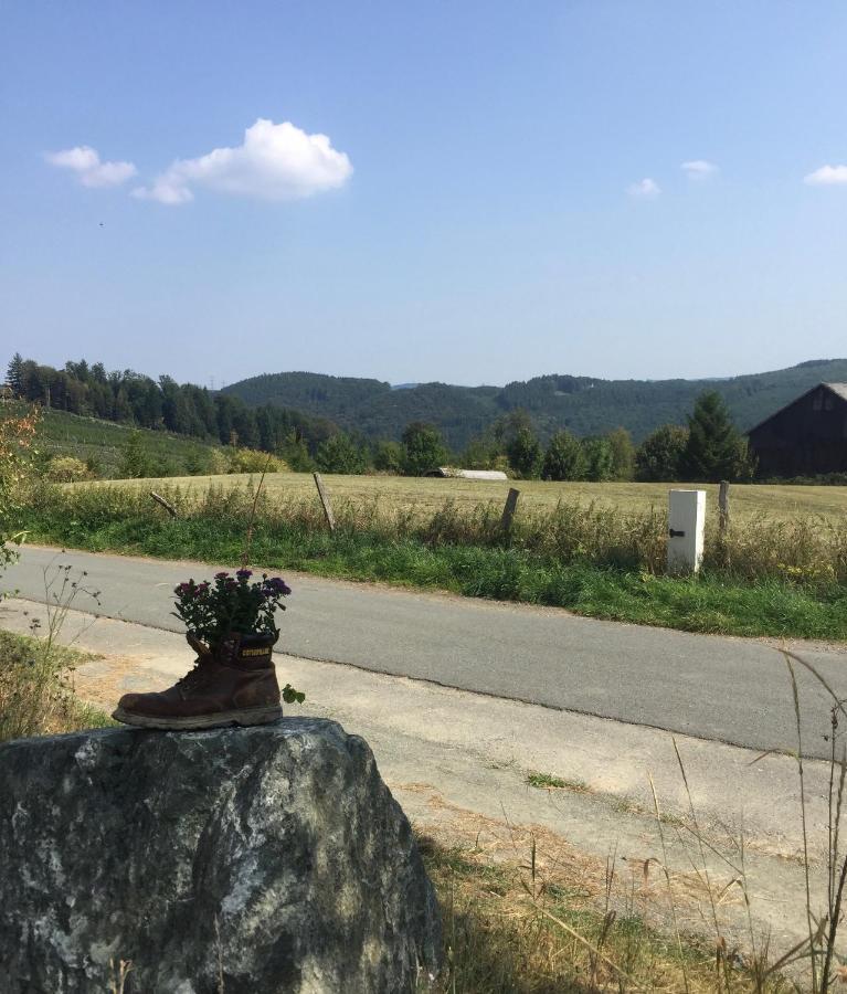 Steigerhaus Sauerland Apartment Bestwig Ngoại thất bức ảnh